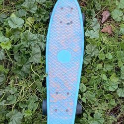 Penny Board