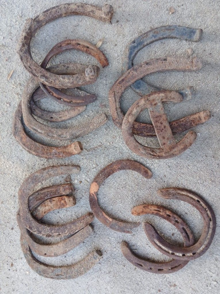 Vintage Horseshoes