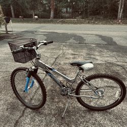 Ladies Schwinn Bike