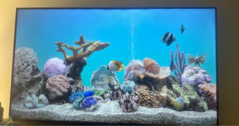 TCL 65” TV