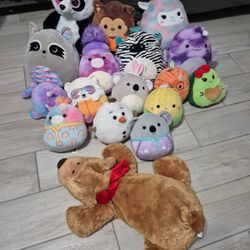 All Squishmallows $ 25 Clean 