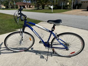Blue Infinity Unisex Bicycle
