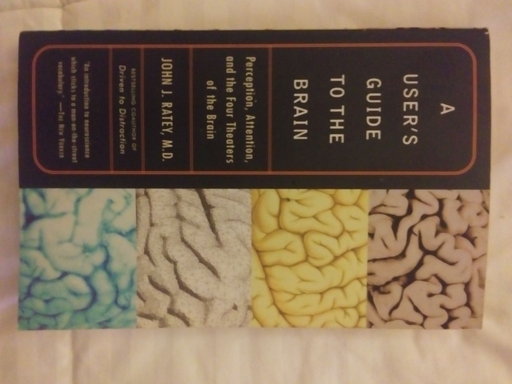 A User's Guide To The Brain