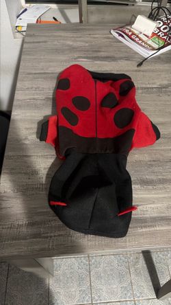 Ladybug Pet costum