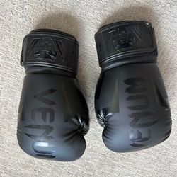 Venum Boxing gloves