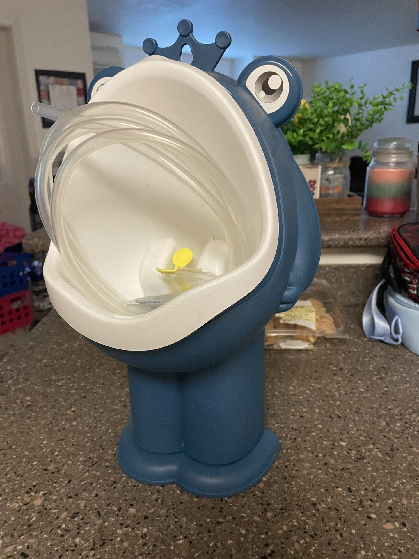 toddler boys potty trainer
