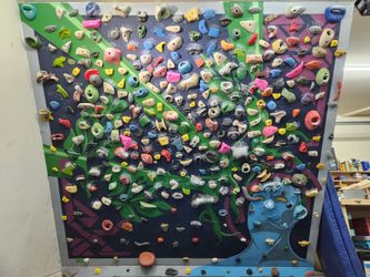 Climbing holds