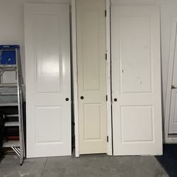 Large Doors  (one Solid) 