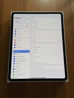Apple iPad Pro 13" M4 256GB Wi-Fi + Cellular (5G) Mint Condition
