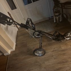 3 Wheel custom golf Cart