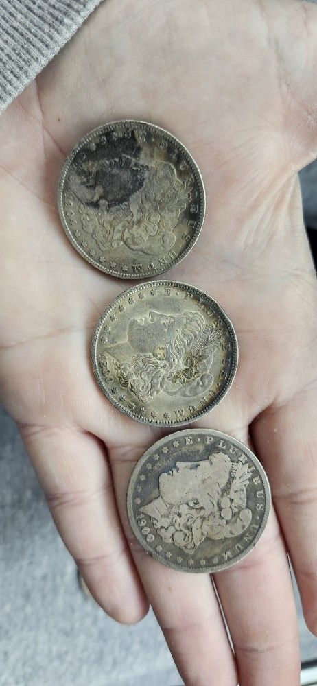 3 Morgan Coins