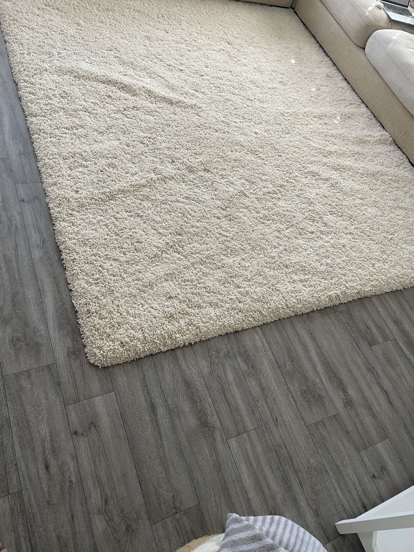 Area Rug