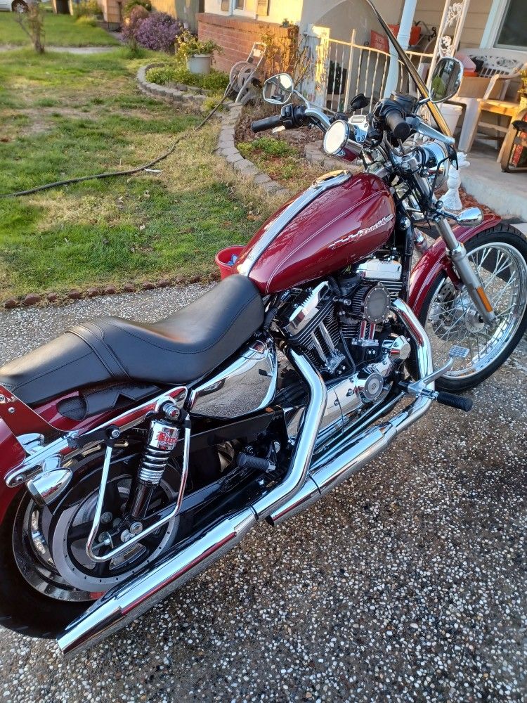 2004 Harley Davidson Sportster 1200 custom