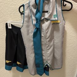 Halloween Cosplay Hatsune Miku Costume