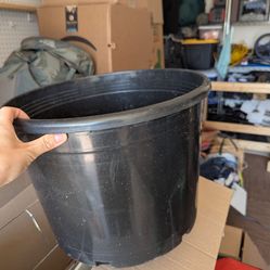 Large Flower Pot