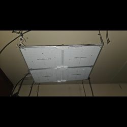 Sf4000 Spider Farm Led