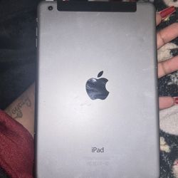 iPad mini