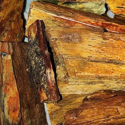 Petrified Wood