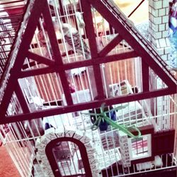 BIRD CAGES 🐦 .. RARE ANTIQUE TYPE 