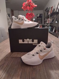 NIKE LEBRON TR1 WOLF GREY SIZE 11 BRAND NEW WITH BOX