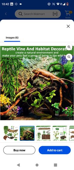Bearded Dragon supplies $25 for everything!