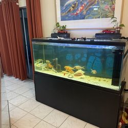 125 Gallon Fish Tank And Stand 