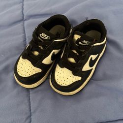 Baby Panda  Dunks 4.5 