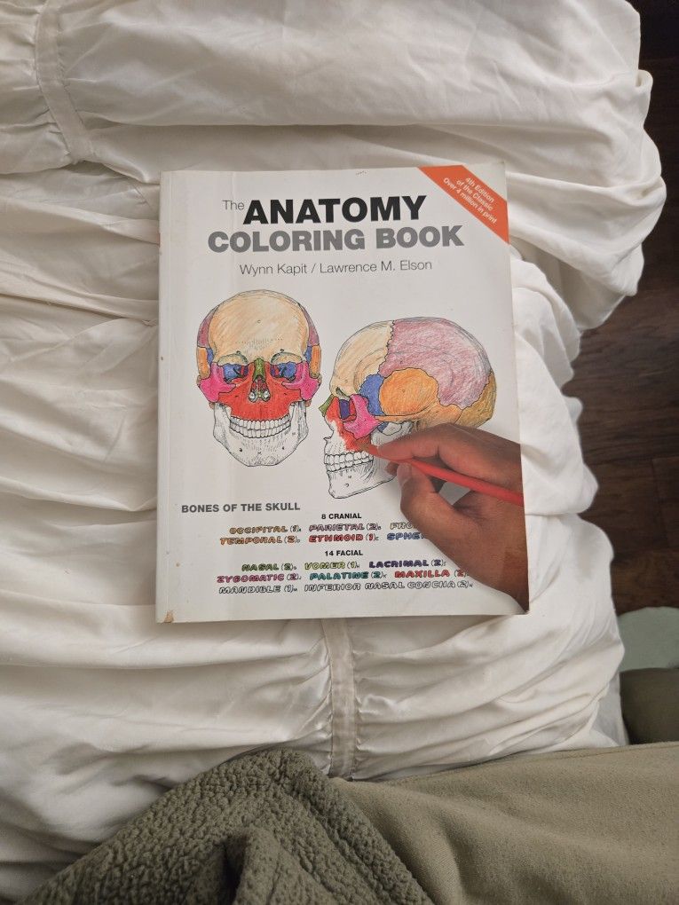 Anatomy Coloring Book