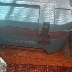 Igloo 52 Qt Cooler