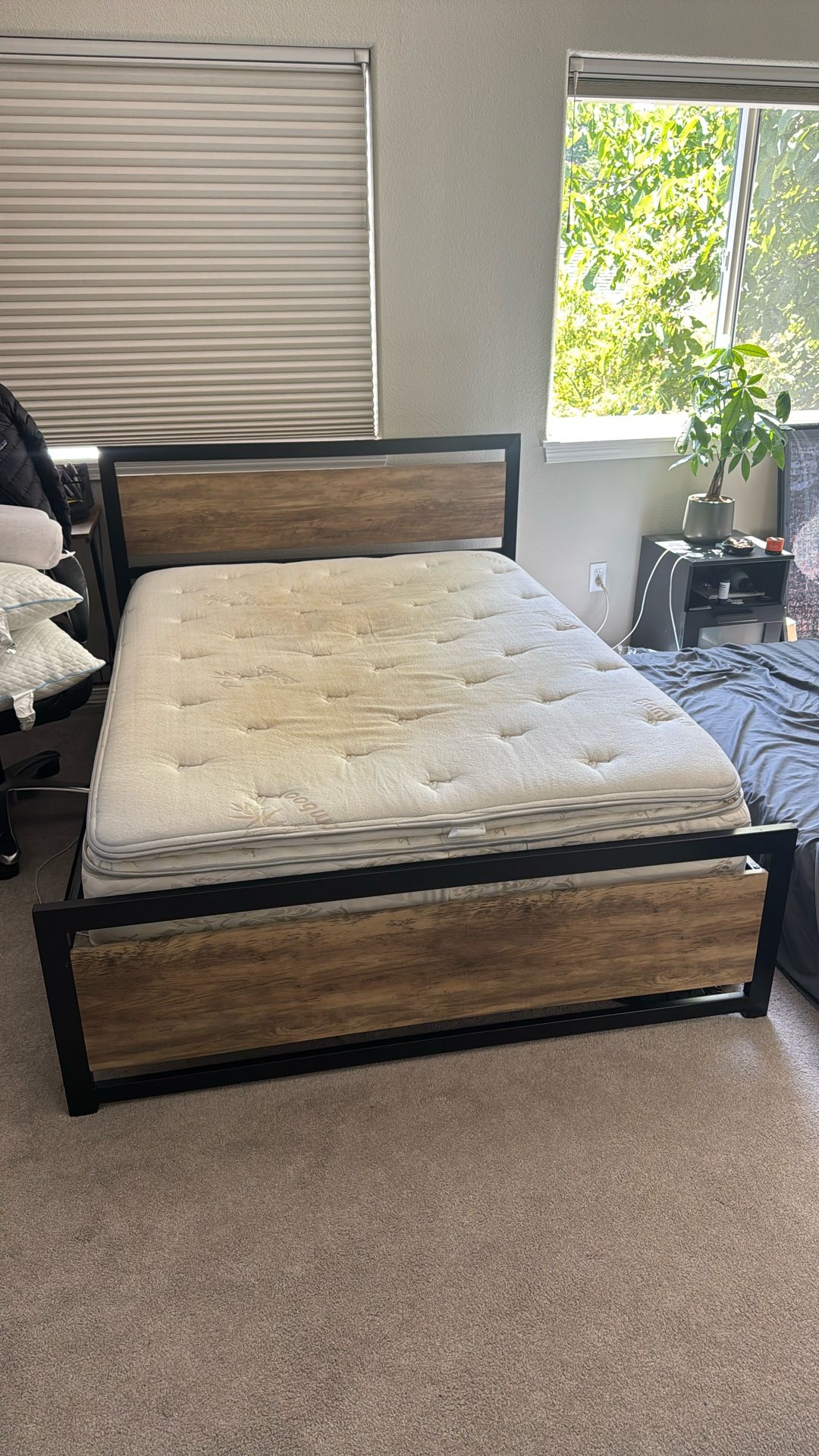 Free Full Mattresses