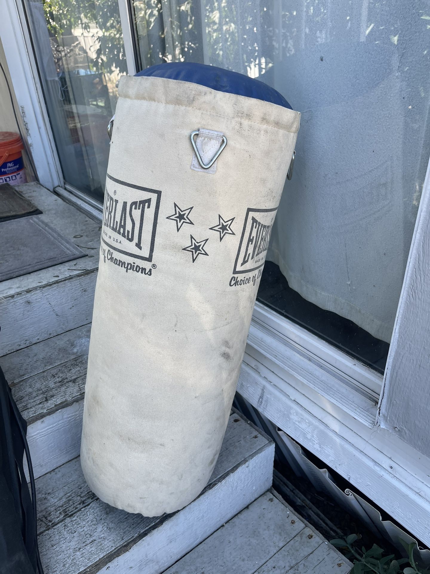 Everlast Punching Bag