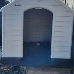 Dog House