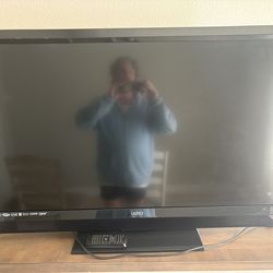 48 Inch Vizio TV + Remote