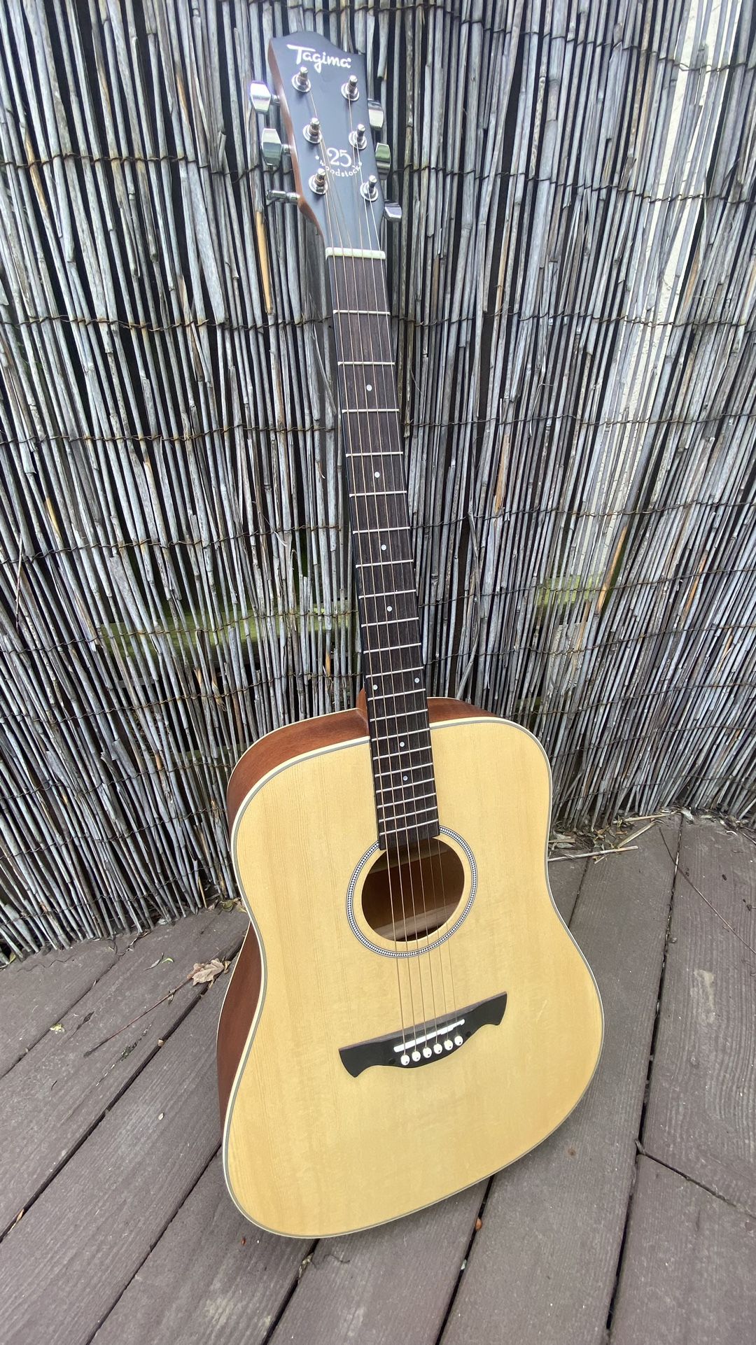 Tagima Acoustic Guitar