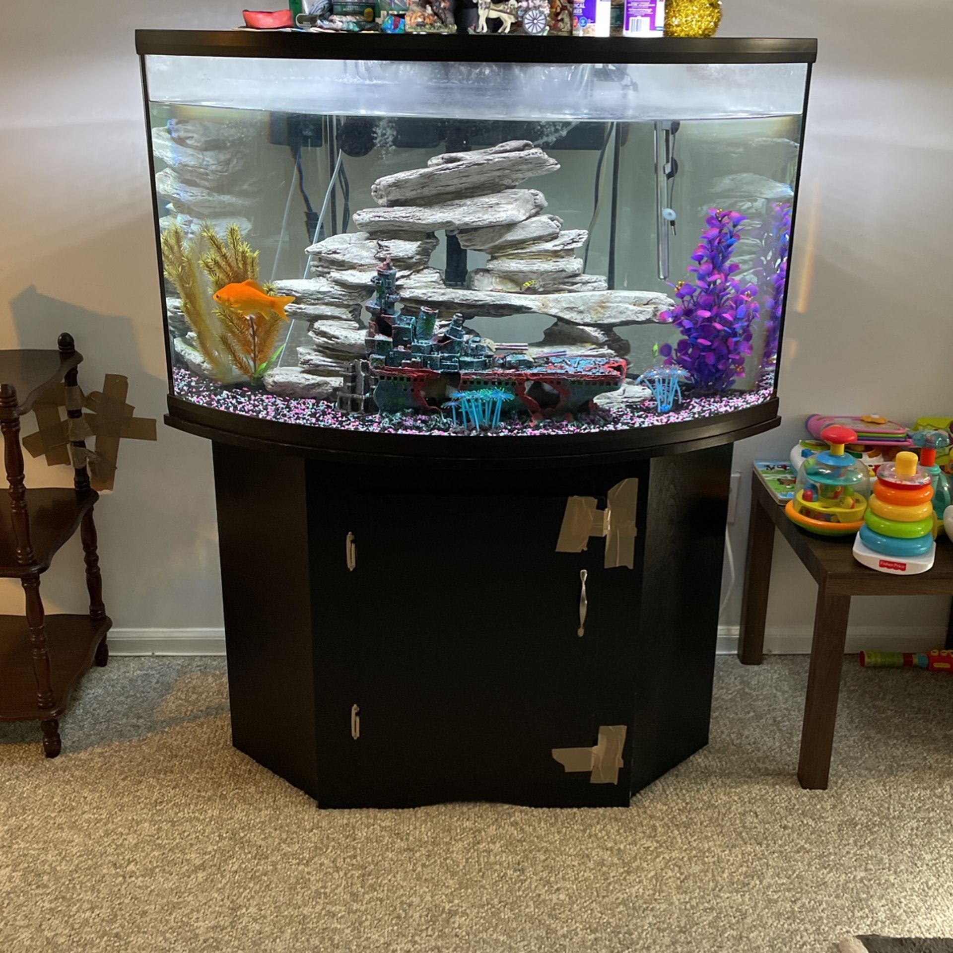 55 Gallon Fish Tank