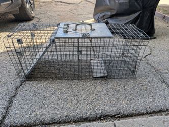 Humane trap