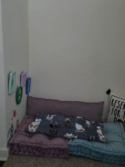 "Doggy bedroom" decor