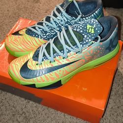 KD Ligers sz11 DS