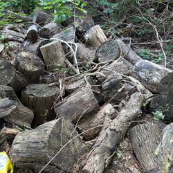 FREE Firewood