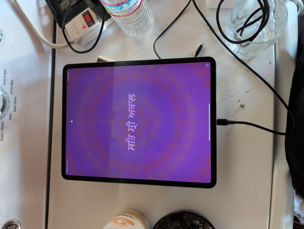 iPad Pro 12.9 (4th Generation) 256G