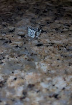 Diamond stud earrings