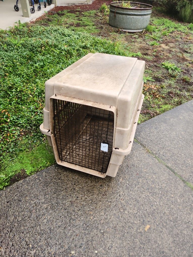 Large Dog Kennel