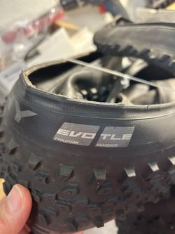 Schwalbe MTB Tires tubeless ready