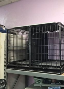Large Double Dog Kennel