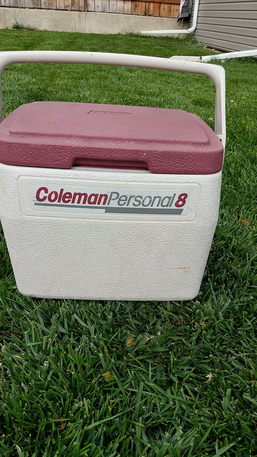 Coleman personal 8 cooler