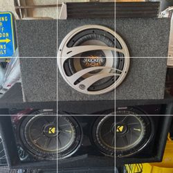 Size 12in Speakers
