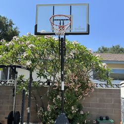 Spalding Basketball Court 