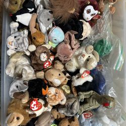 Beanie babies