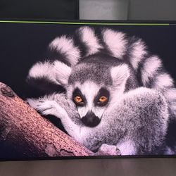 TV Samsung(the frame) 55"(2025) New in box