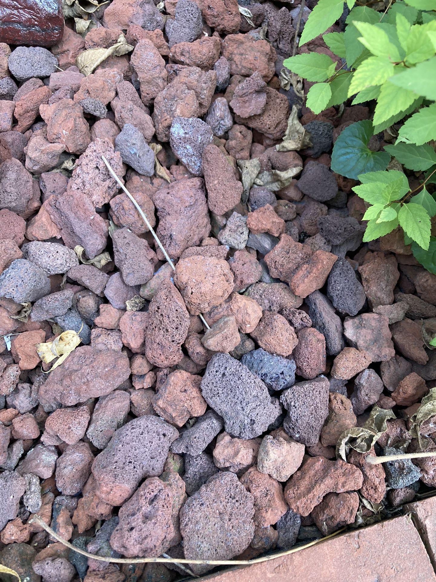 Free Lava rock for landscaping